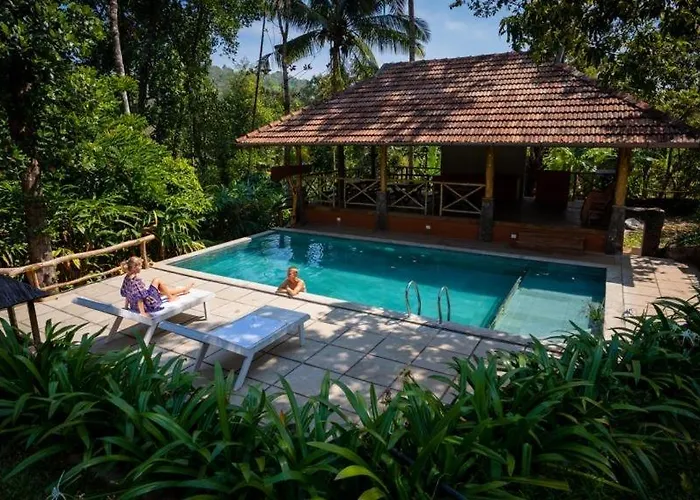 Beyond Eco Living