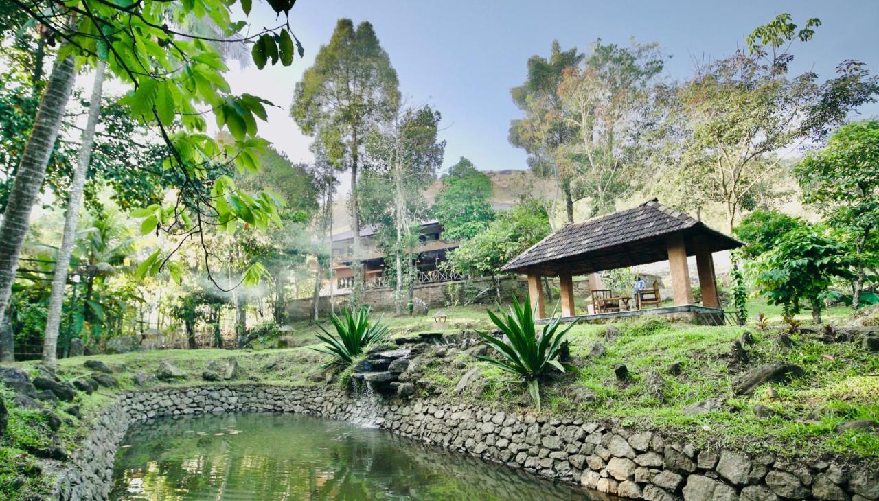 Beyond Eco Living