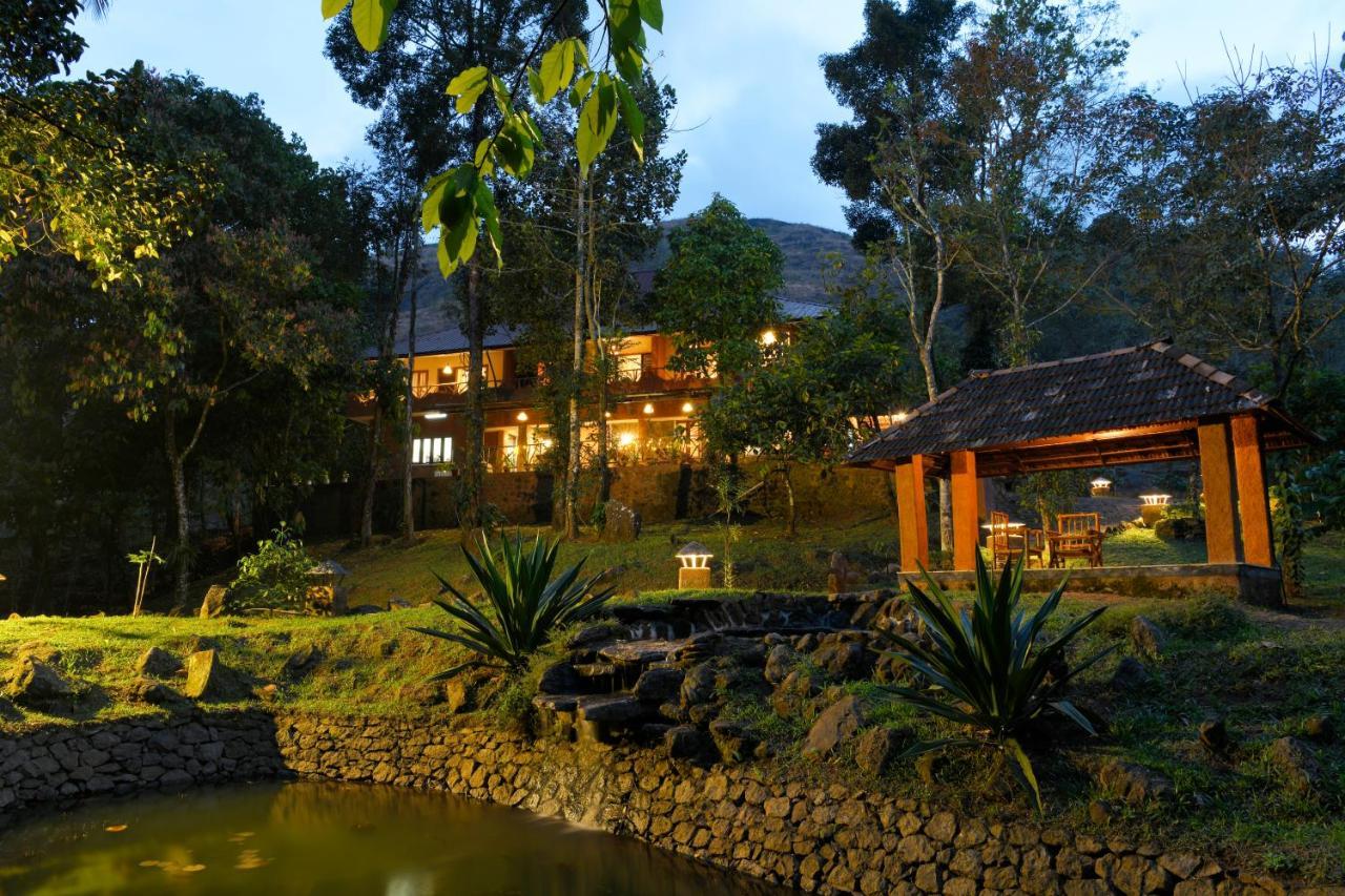 Beyond Eco Living *