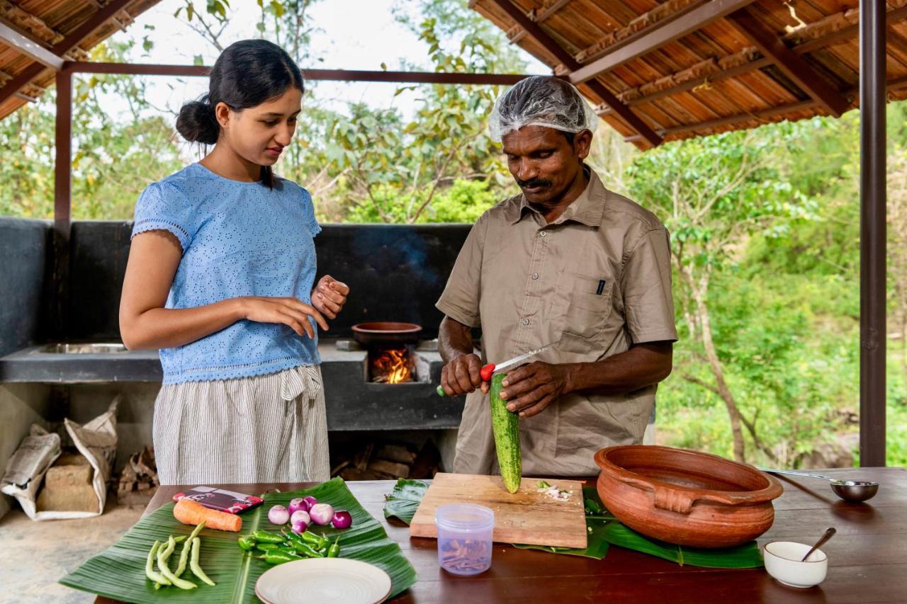 Beyond Eco Living Homestay *