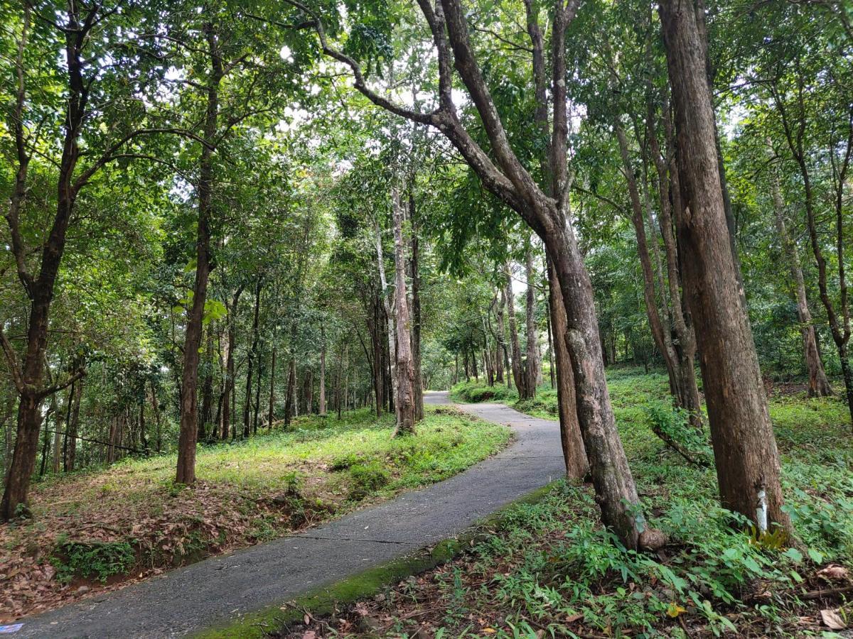 Homestay Beyond Eco Living