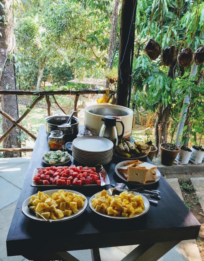 Beyond Eco Living Homestay Munnar