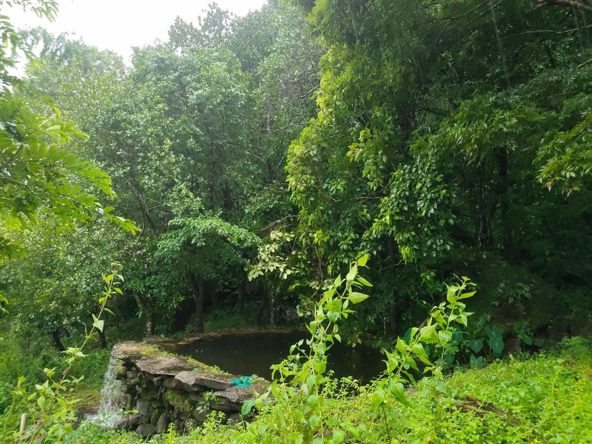 Beyond Eco Living Homestay Munnar