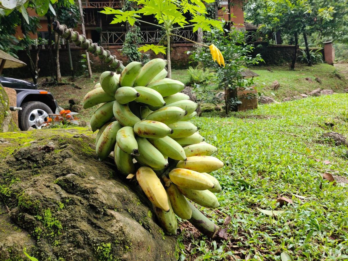 Beyond Eco Living