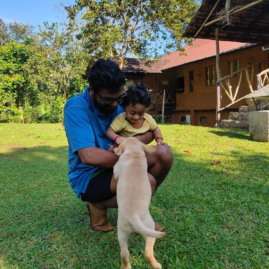 Beyond Eco Living Homestay Munnar
