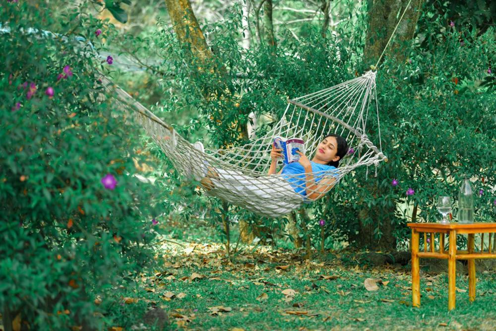 Beyond Eco Living