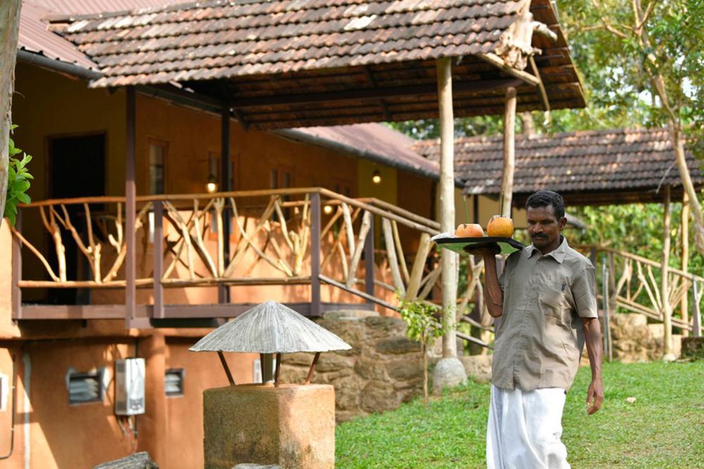 Beyond Eco Living *