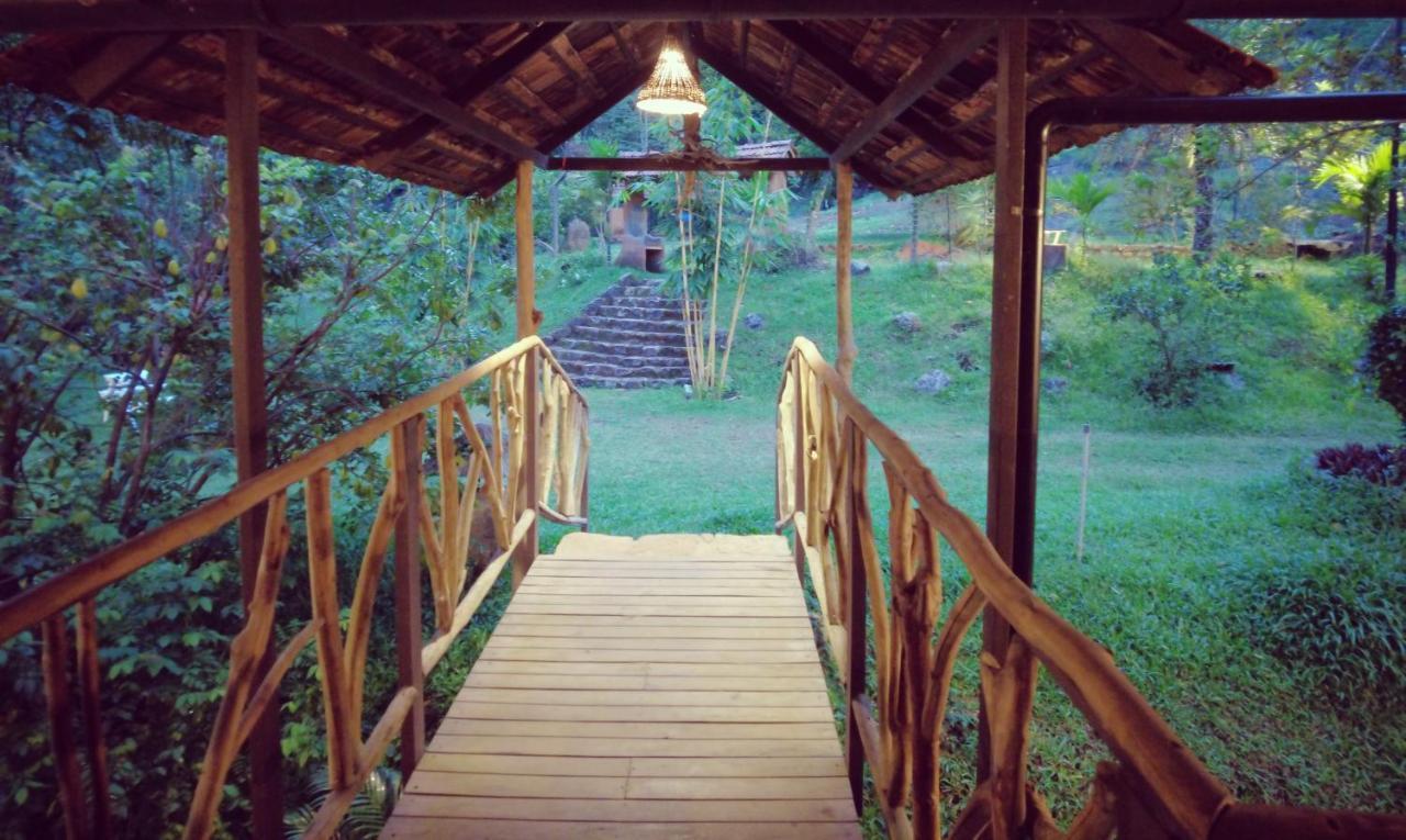 Beyond Eco Living *